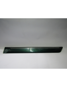 MOLDURA PUERTA TRASERA...