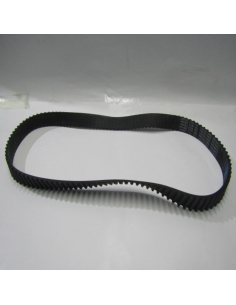 CORREA DISTRIBUCION GREAT...