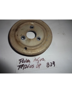 Polea agua motor 3SZ  Daihatsu Terios 2009