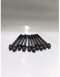 SET PERNOS CULATA SUZUKI...