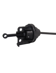 PULMON VACION ADMISION...