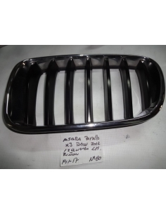 Mascara parrilla riñon izquierdo LH BMW X3 2012