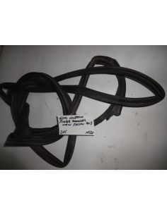 Goma cotorno puerta derecha RH Hyundai Tucson 2013