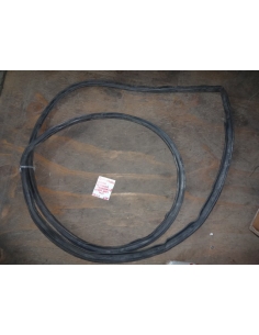Goma contorno puerta delantera izquierda Toyota Rav4 2011