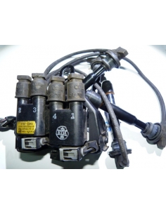 Bobinas de encendido Hyundai Tucson 2.0 2009 