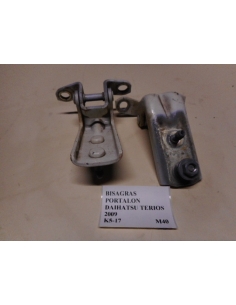Bisagras portalon Daihatsu Terios 2009 