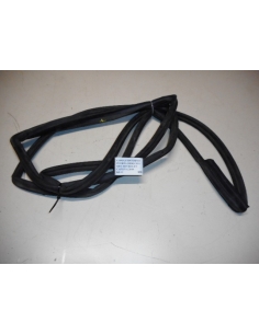 Goma contorno puerta derecha RH Chevrolet Captiva 2010 