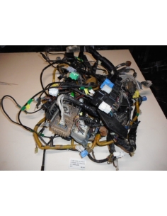 Cableria ramal Subaru Outback 2.5 2000 - 2003