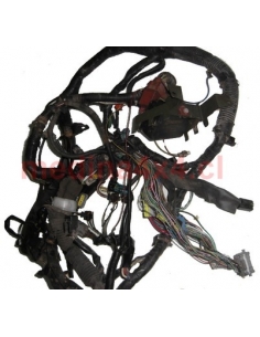 Cableria interior, Suzuki Grand Nomade 03