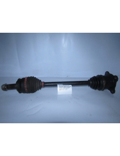 HOMOCIENTICA TRASERA...