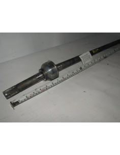 HOMOCINETICA PALIER...