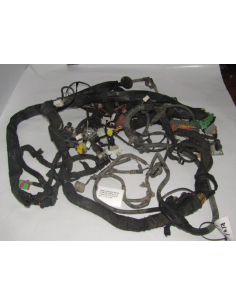 CABLERIA RAMAL INTERIOR...