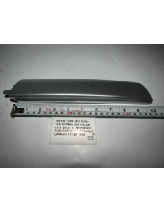 TAPA MOLDURA TECHO TRAS DER...