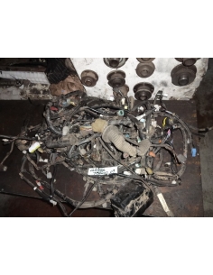 Cableria Daihatsu Terios 2009 