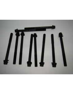 SET PERNOS CULATA SUZUKI...